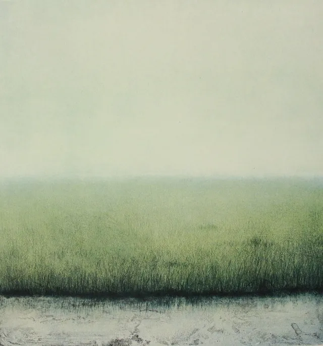 Unbekannter Künstler. 'Nasse Wiese', Lithographie, Ed. 10/100, signiert.