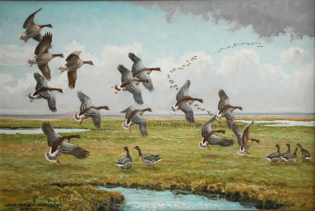 Leif Ragn Jensen. Landscape with flying geese. (cd)