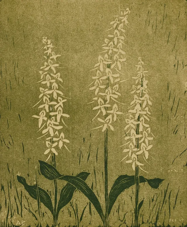 ANNIE BERGMAN (Liège, Belgien 1889 -1987 Stockholm), "Nattviol", signerade, träsnitt.