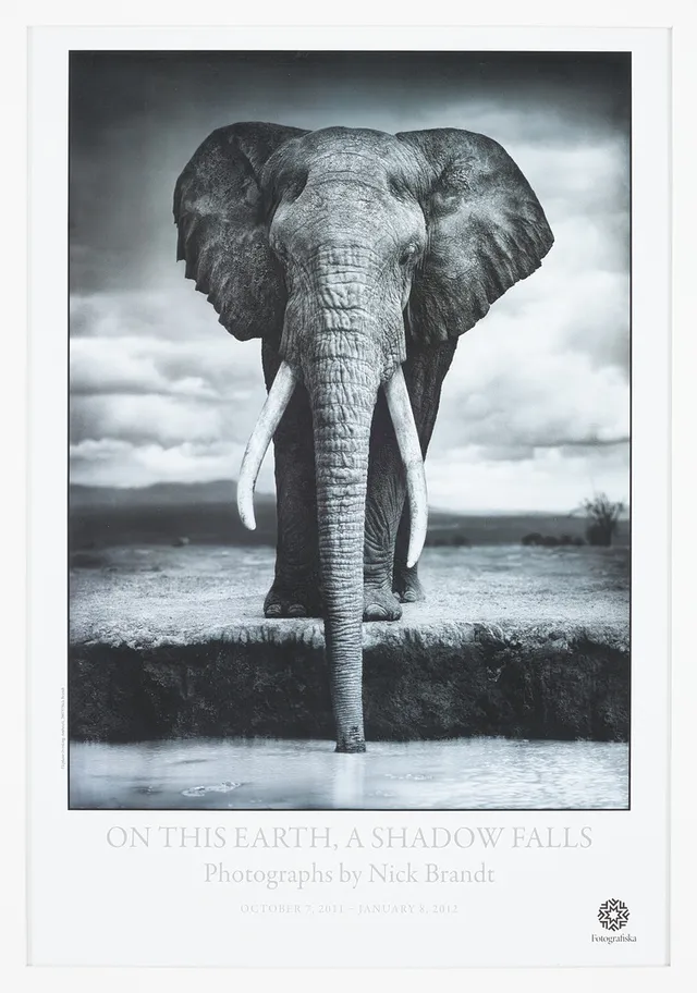 NICK BRANDT. Grafiskt tryck, Fotografiska, 2012.
