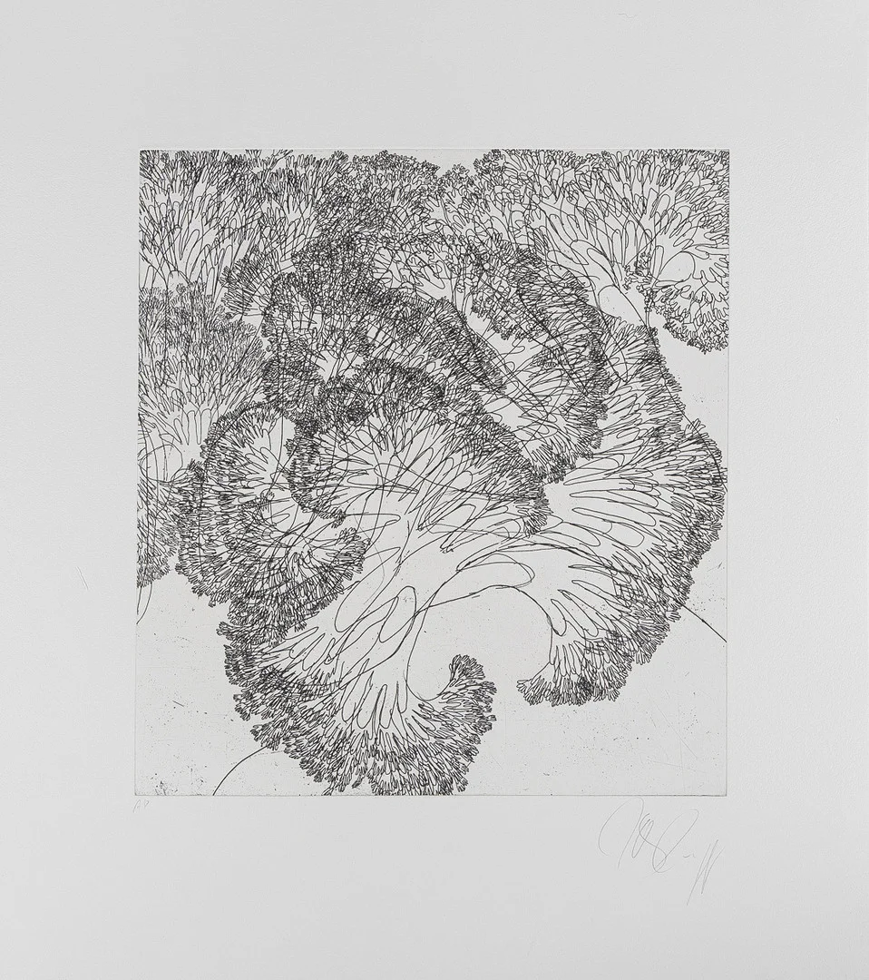 TONY CRAGG (FÖDD 1949). komposition, etsning, oramat blad. — Engravings & Prints — Stockholms Auktionsverk Helsingborg