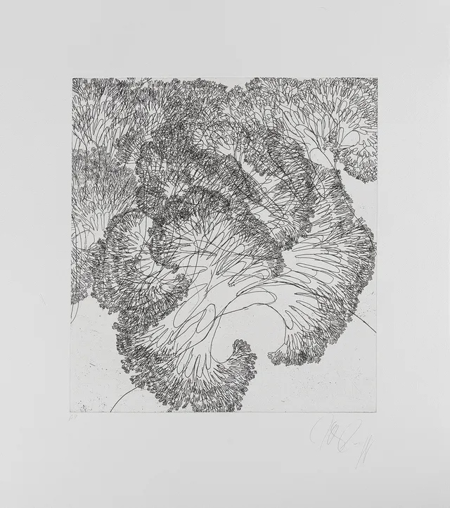 TONY CRAGG (FÖDD 1949). komposition, etsning, oramat blad.