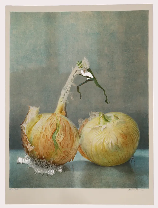 MARIA BOCZEWSKA. Färglitografi, 221/250. Lökar. Signerad.