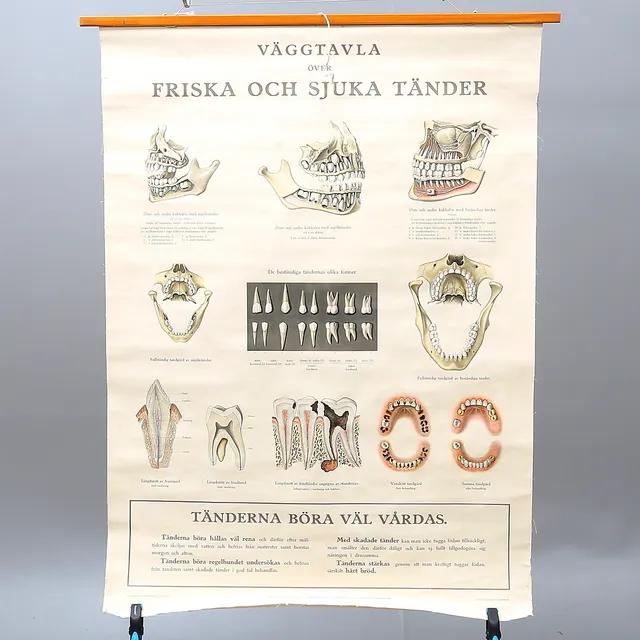 PLANSCH, "Väggtavla över friska och sjuka tänder", P A Norstedt & Söners förlag Stockholm 1925.