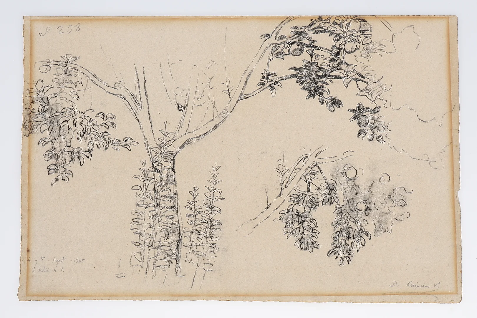 DIONÍS BAIXERAS. Study. — Drawings — Balclis