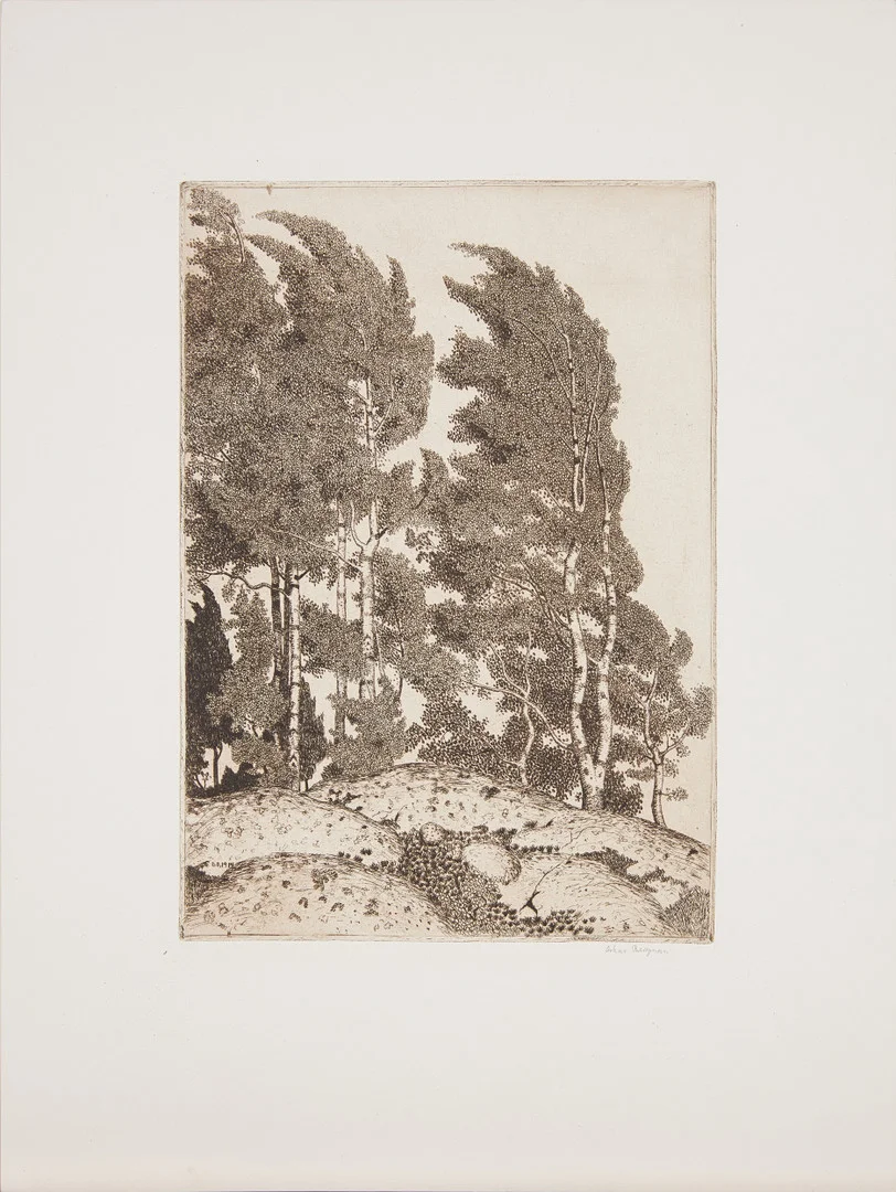 OSKAR BERGMAN. Björkar. Etsning. Signerad med blyerts. — Engravings & Prints — Stockholms Auktionsverk Magasin 5
