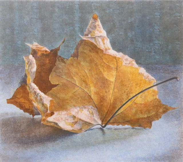 MARIA BOCZEWSKA. litografi, löv.