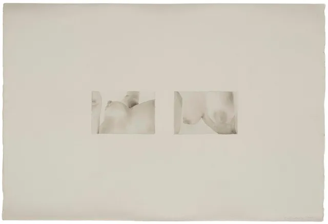 Cecilia Edefalk, Utan titel.