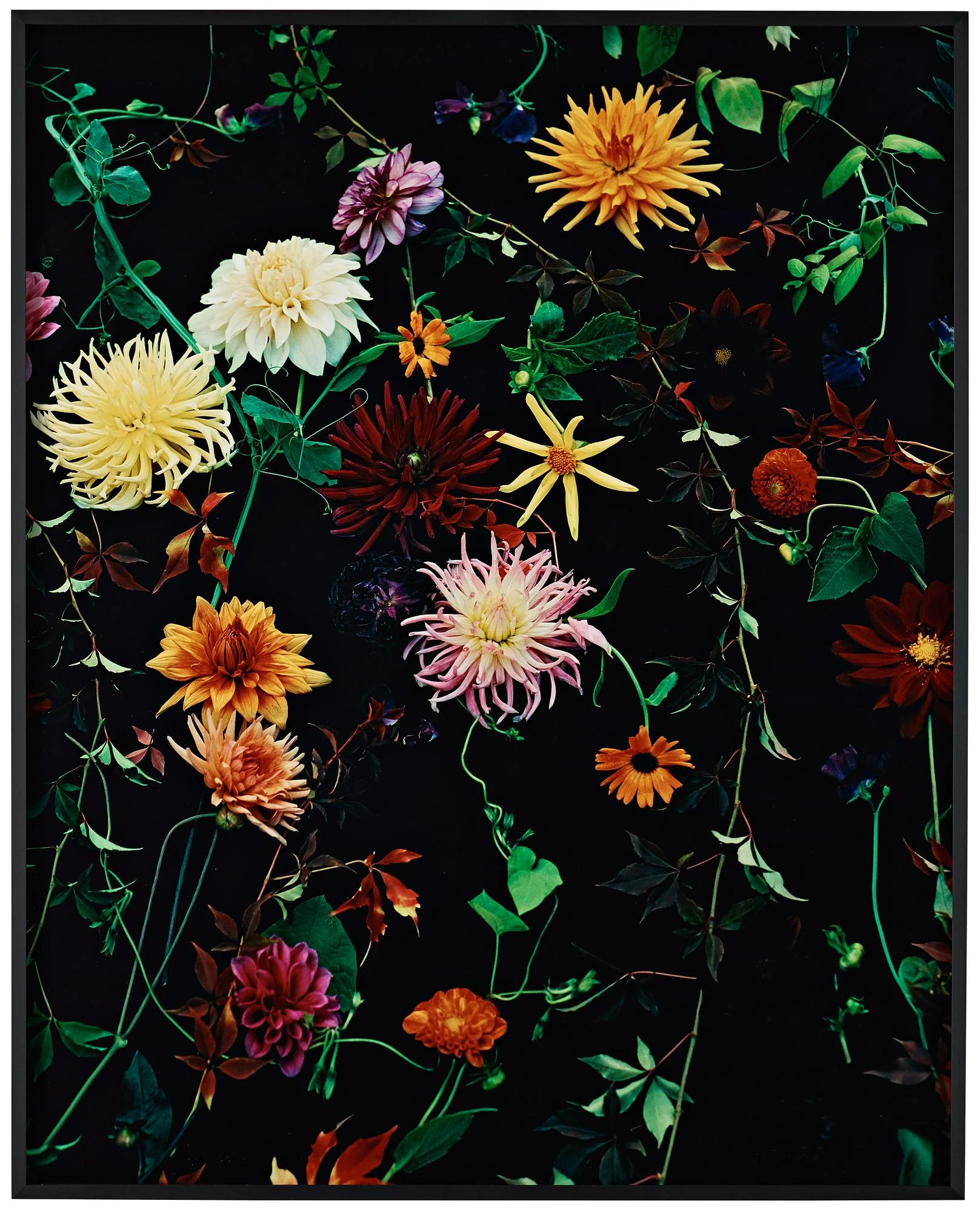 Denise Grünstein, "12 oktober", 2010. — Bukowskis