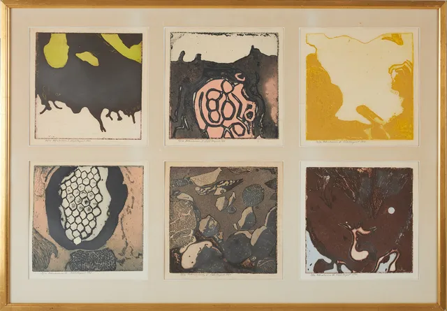 NILS G STENQVIST. "Mikrokosmos", 6 st, etsningar samramade, signerad och numrerad, daterad 1968.