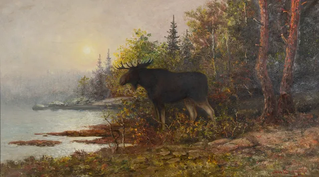 STEN EKENDAHL. Älg i skogen, olja på duk, signerad.
