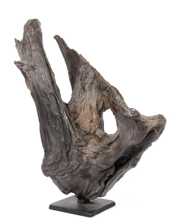Skulptur af moseeg. H. 44 cm.