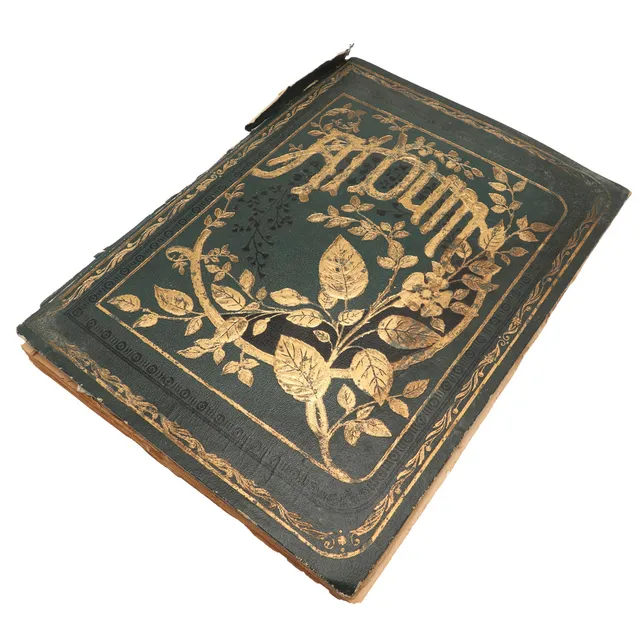 VICTORIAN SCRAP BOOK - INCLUDING CHINESE PITH PAINTINGS.