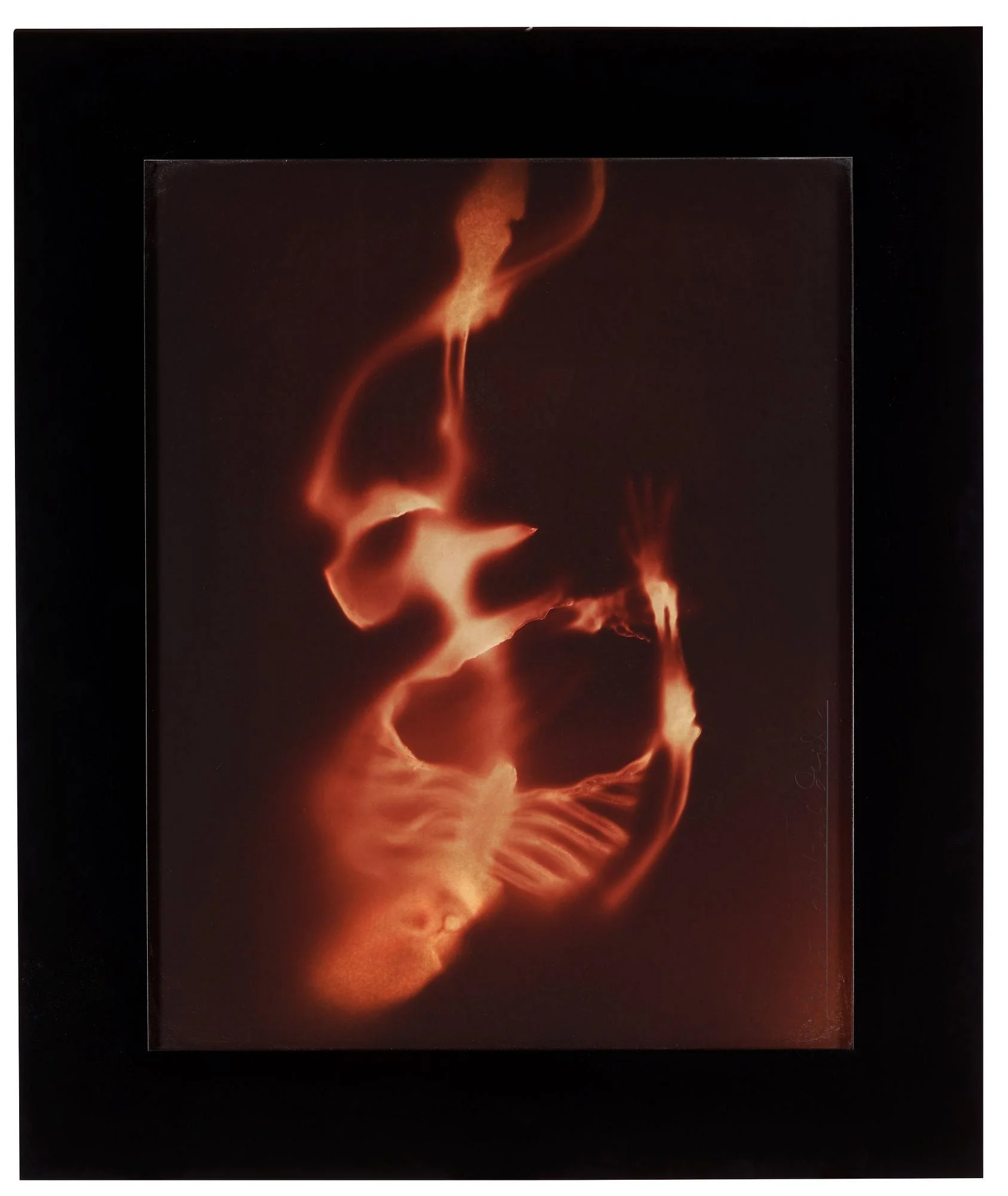 Dawid (Björn Dawidsson), "Ray 05", 1988. — Bukowskis