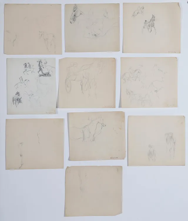 PERE YNGLADA. Notes from nature.