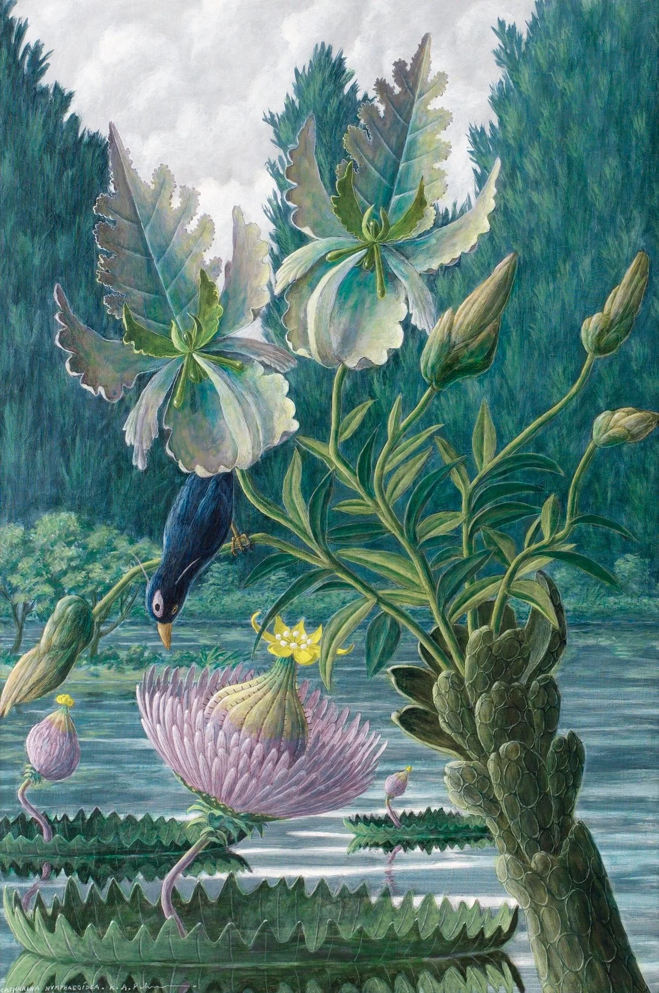 Karl Axel Pehrson, "Catharina Nymphaeoidea". — Bukowskis