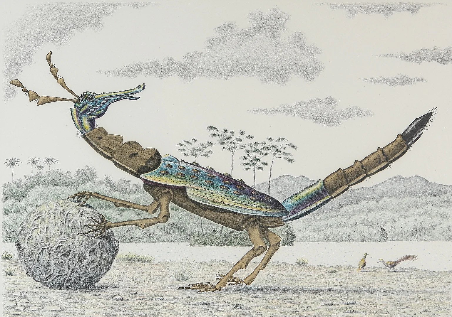 KARL AXEL PEHRSON. Fantasidjur, litografi, signerad och numrerad. — Engravings & Prints — Auktionshuset Kolonn