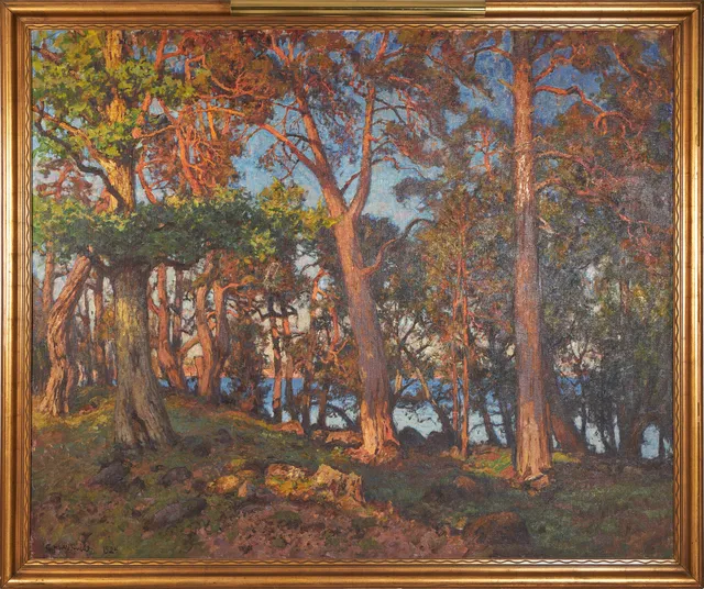 GOTTFRID KALLSTENIUS (SVERIGE, 1861-1943). Solbelysta tallar, signerad och daterad G. kallstenius 1924, olja på duk.
