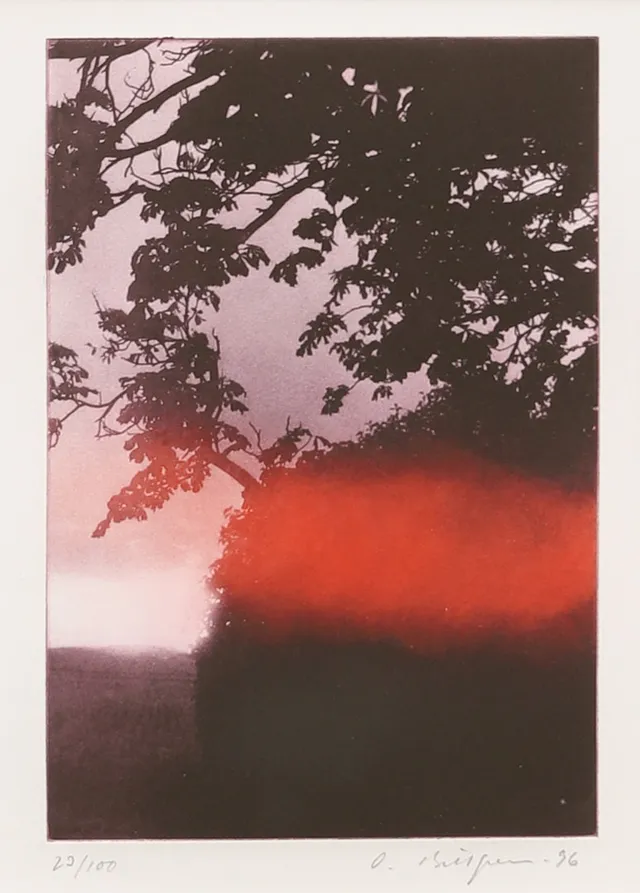 OLA BILLGREN. Fotogravyr, numrerad 23/100 samt signerad och daterad -96.