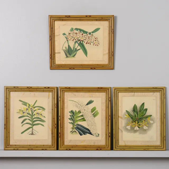BLOMSTERTAVLOR, 4 st, grafiska blad, 1900-talets första del.