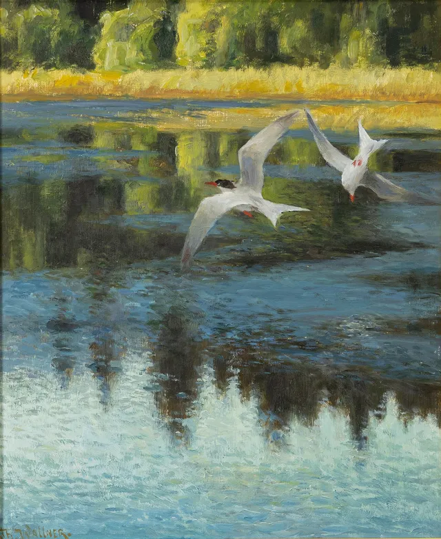 Thure Wallner, Tärnor.