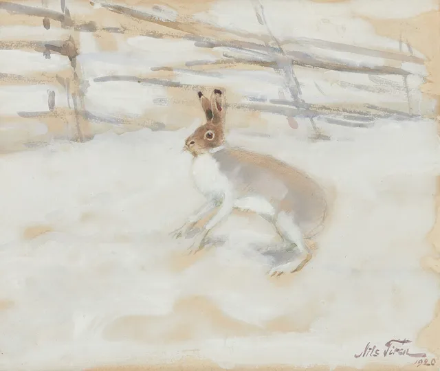NILS TIRÉN (1885-1935): Vinterhare, signerad och daterad Nils Tirén 1920, akvarell.