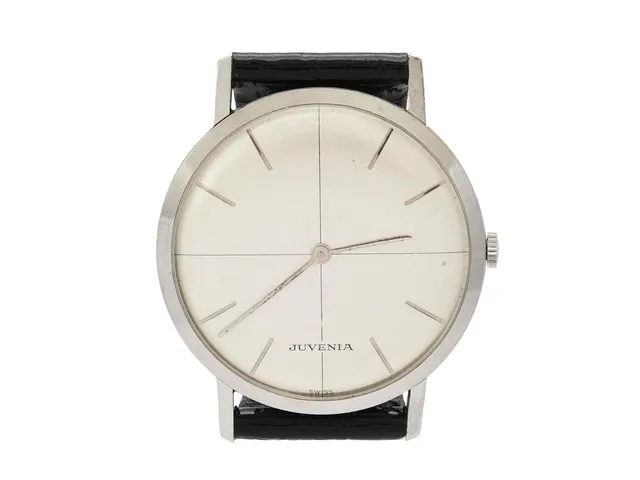JUVENIA, herrur, 33,5 mm, Cal 604, Boett nr. 484331, stål, manuell, plexiglas, läderband, ca 1965.