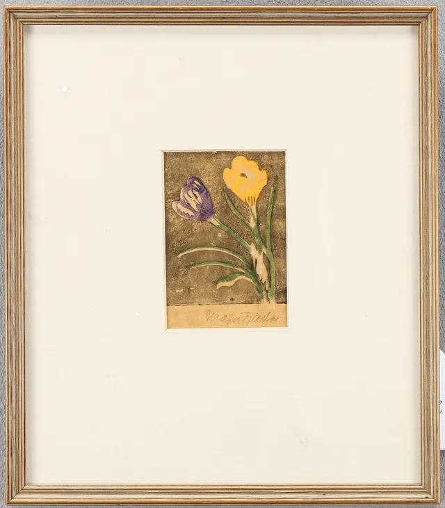 MAJA FJAESTAD. Krokus.