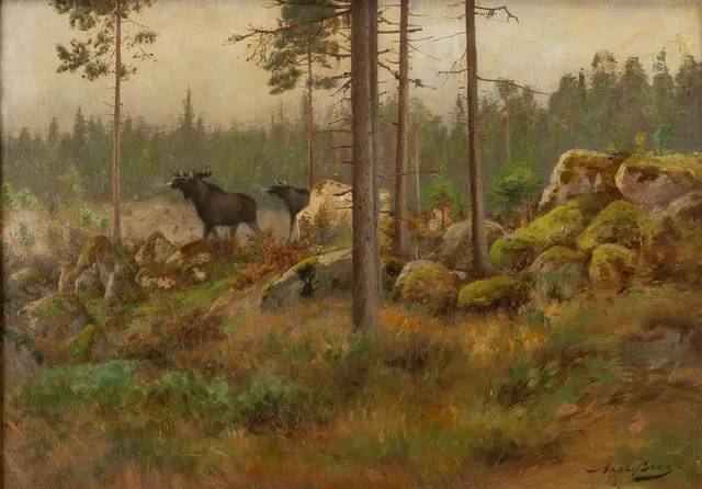Axel Borg, Älgar vid kalhygge.