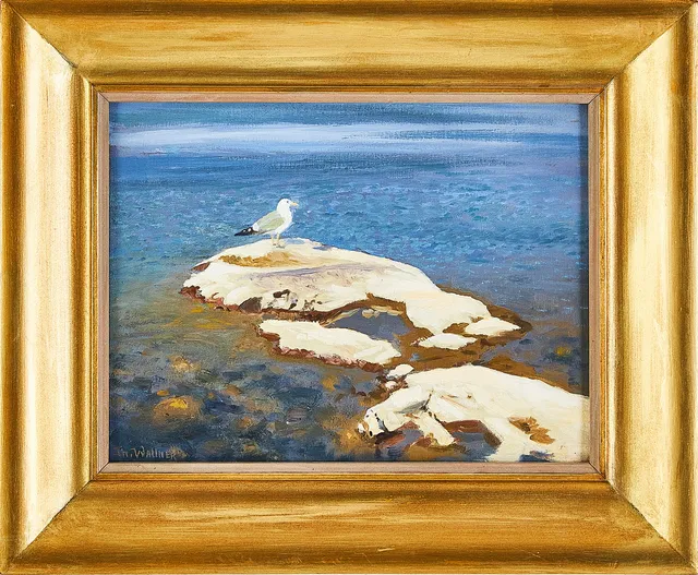 THURE WALLNER. Mås på kobbe, olja på pannå.