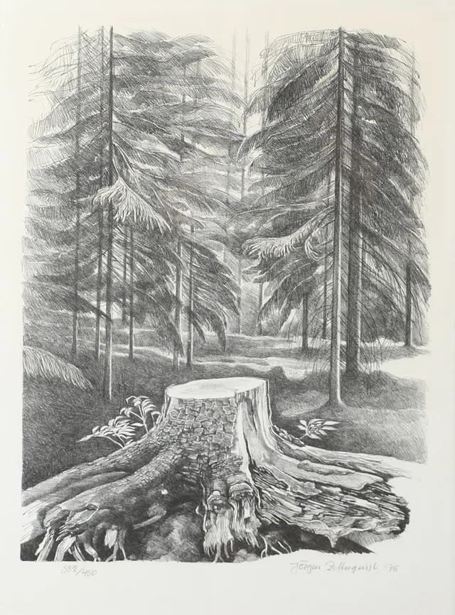 JÖRGEN ZETTERQUIST. Landskap med stubbe, litografi, signerad -76.