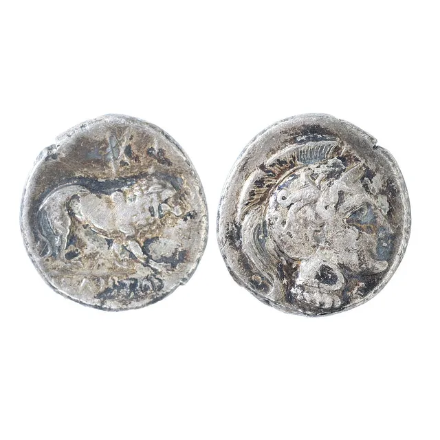 A RARE LUCANIA, DIDRACHM GREEK COIN, C. 300-280 BC.