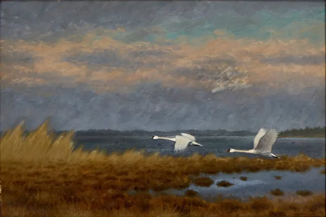 IVAN HUMBLA (1888-1962). Sträckande svanar, signerad, olja på pannå.