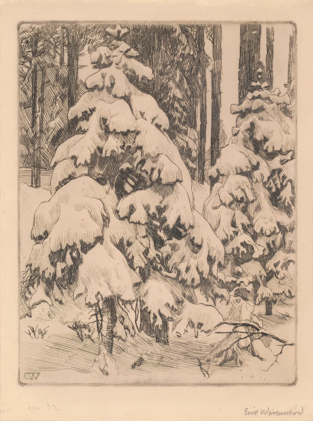 Werenskiold, Erik — "Nedsnødde smågraner" 1913/1918 — Kunst/Grafikk — Blomqvist