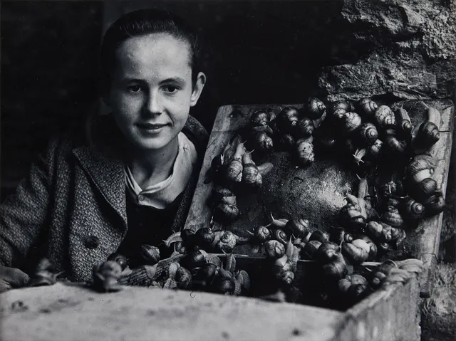 CHRISTER STRÖMHOLM. "Jura Mountains, Frankrike 1949".
