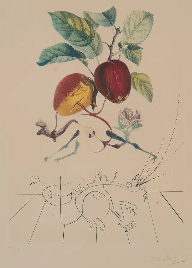 Dali, Salvador — "Flordali" 1969/70