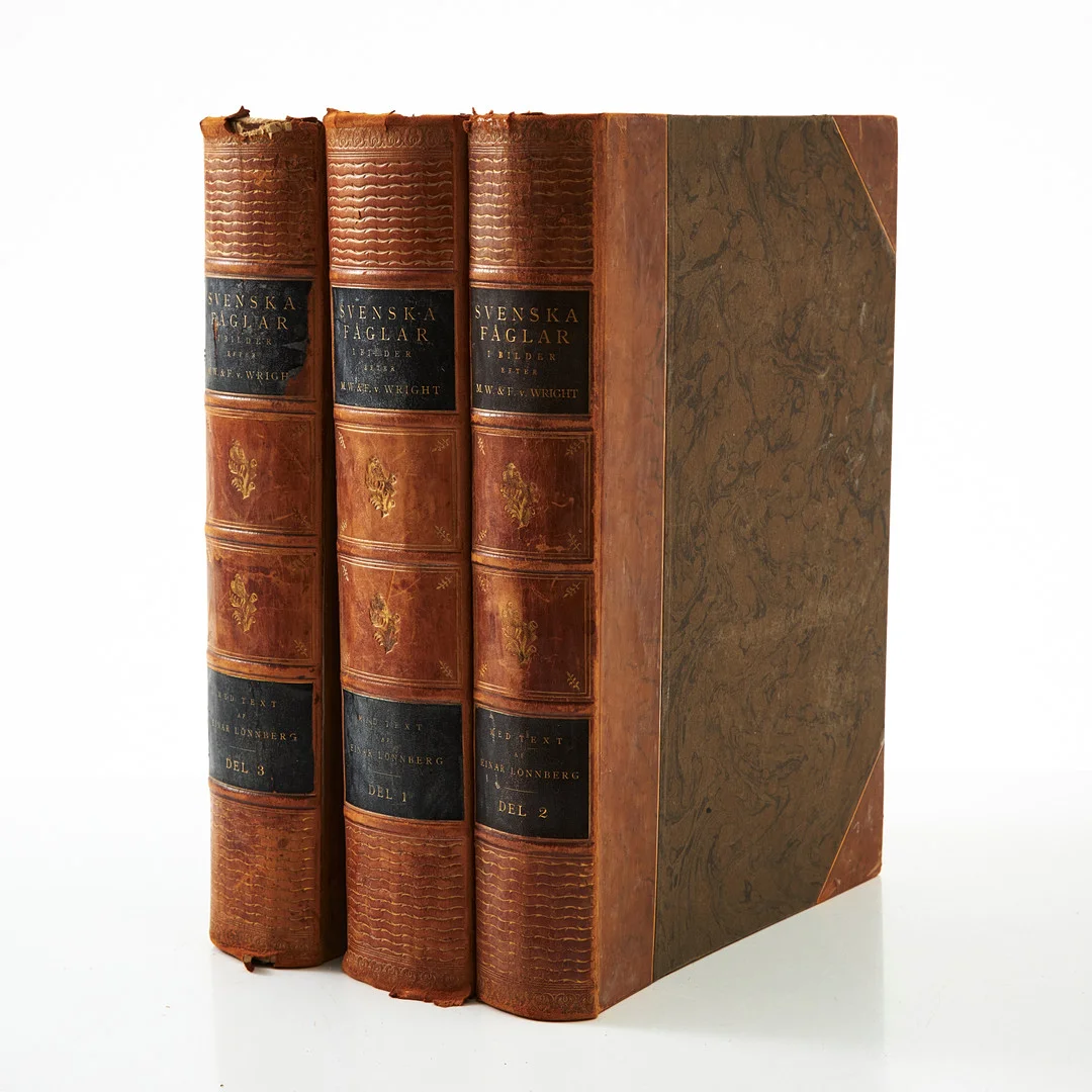 WRIGHT SVENSKA FÅGLAR, 3 vol, Stockholm 1924-29. — Books — Stockholms Auktionsverk Magasin 5