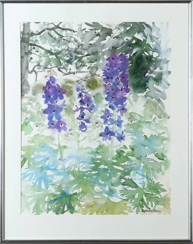 SOLVEIG SVENNEGREN. "Riddarsporrar", akvarell, signerad.