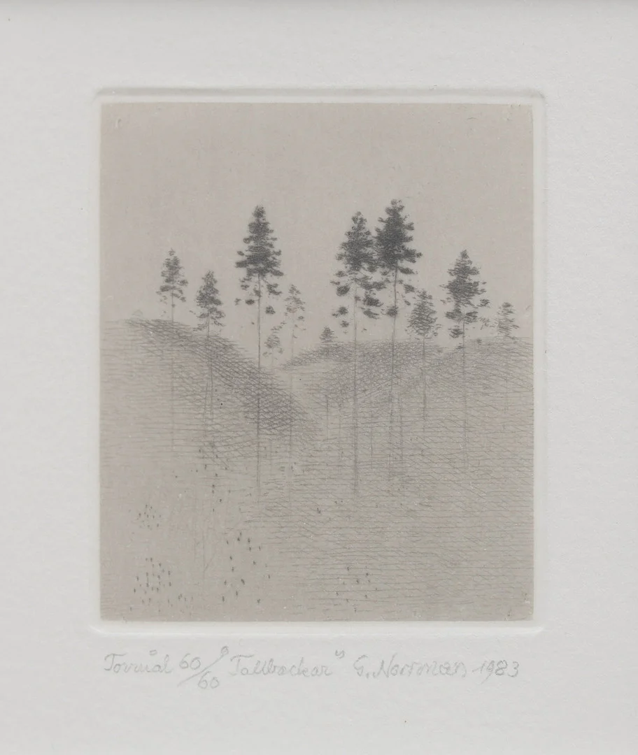 GUNNAR NORRMAN. "TALLBACKAR", TORRNÅL. — Engravings & Prints — Crafoord Auktioner Lund