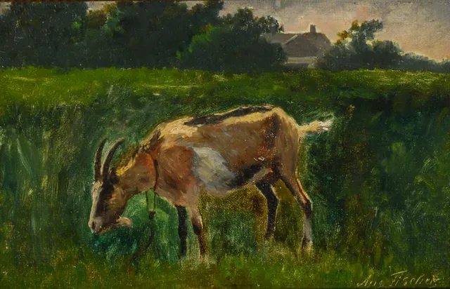August Fischer. En ged