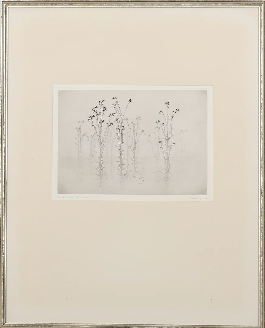 GUNNAR NORRMAN. "Kärrtistlar", torrnål nr 3/10, signerad G Norrman och daterad 1964. — Engravings & Prints — Garpenhus Auktioner