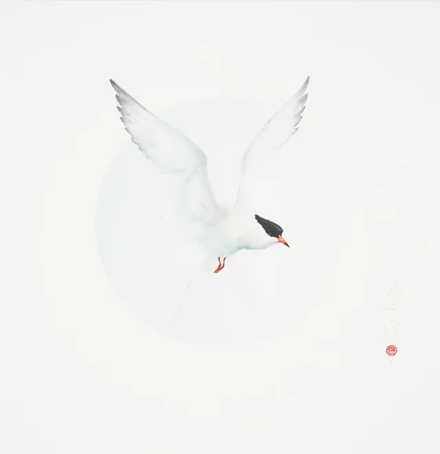 KARL MÅRTENS. "Fisktärna", färglitografi, signerad, provtryck.