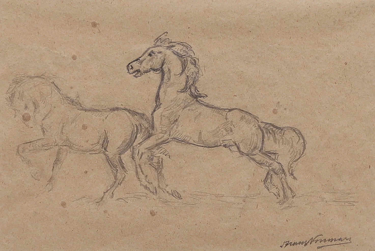 ARAM NORRMAN. Hästar. Teckning, signerad. — Drawings — Gomér & Andersson Linköping