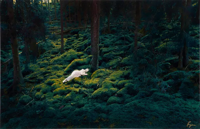 RICHARD RYAN (SVERIGE, FÖDD 1974). "John Bauers Princess", Vingåker 2020, ur John Bauer-mappen, bild nr 2, signerad Ryan, modell Ida Hansson Brusewitz, C-Print.