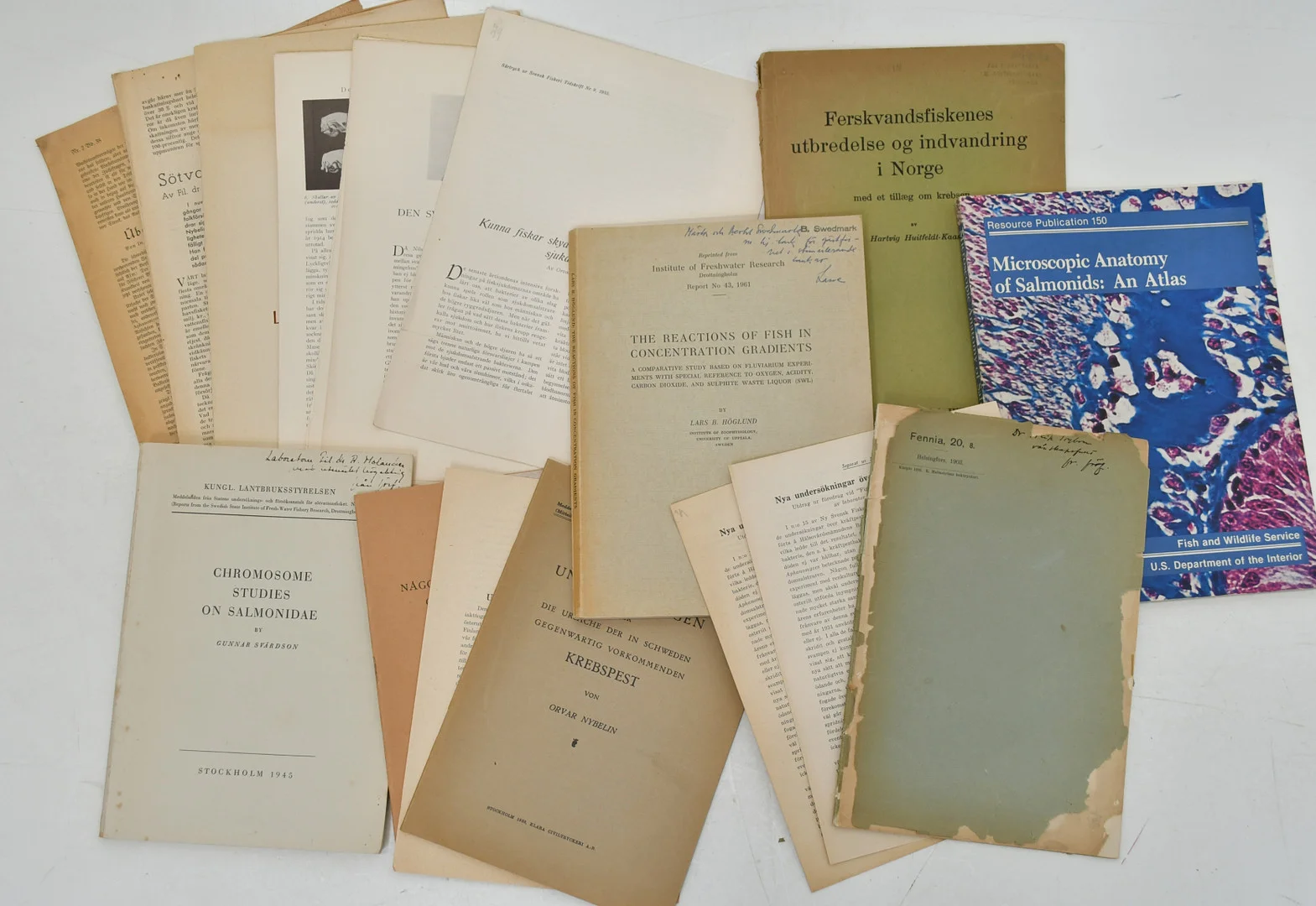 Fisksjukdomar, parasiter och kräftpest. Böcker om fiske. 13 Volymer. — Books — Connoisseur Bokauktioner