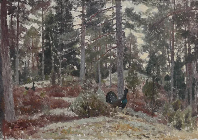 HARALD WIBERG. "TJÄDERSPEL".