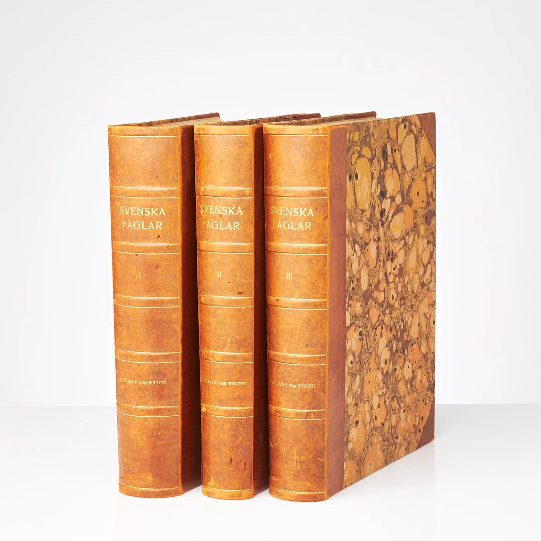 WRIGHTS FÅGLAR (3). WRIGHT, MAGNUS, WILHELM & FREDRIK VON. Svenska fåglar, Ivar Haeggströms förlag och Förlaget Svenska fåglar, Stockholm 1924 samt 1929. — Books — Stockholms Auktionsverk Sickla