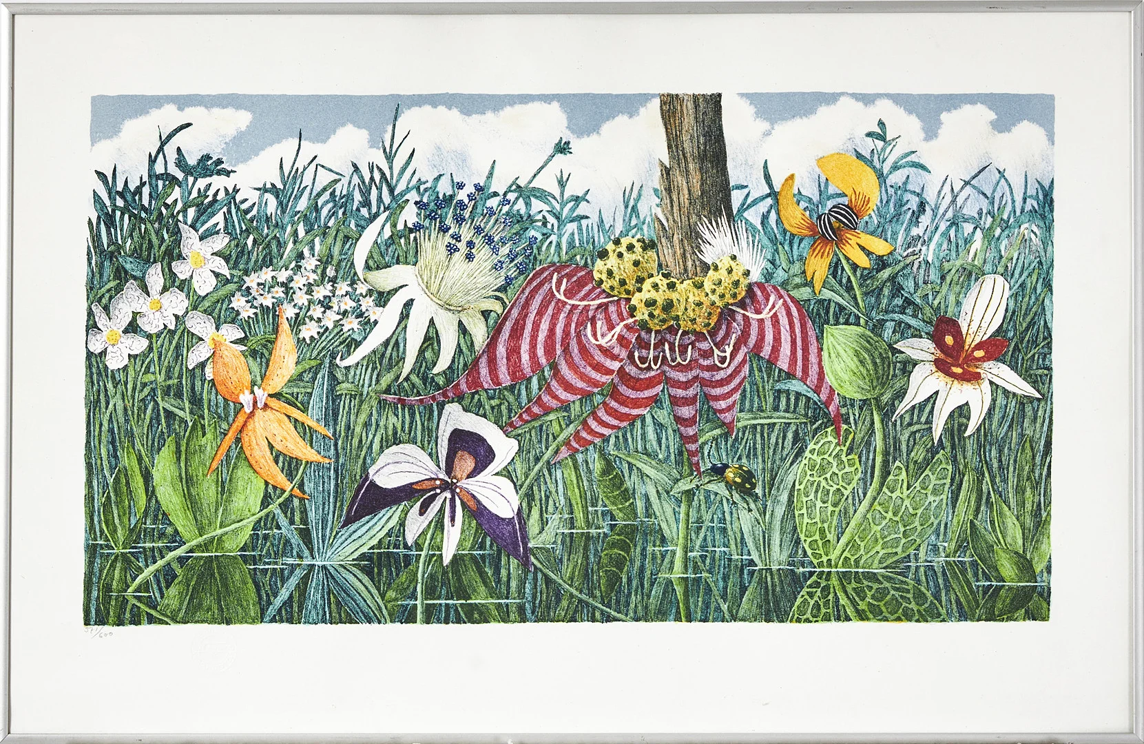 KARL AXEL PEHRSON (1921-2005). Exotiska växter, färglitografi. — Engravings & Prints — Stockholms Auktionsverk Magasin 5