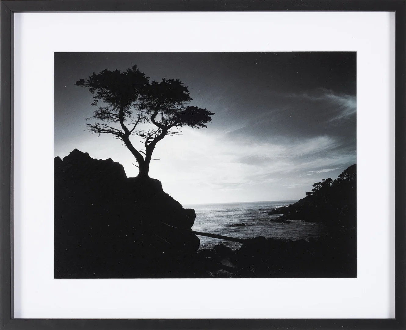 ROLF ADLERCREUTZ (SVERIGE, FÖDD 1945). "Den ensamma cypressen", Cypress Point, Kalifornien 1986, archival pigment print, signerad och numrerad 1/20 á tergo. — Photography — Stockholms Auktionsverk Sickla