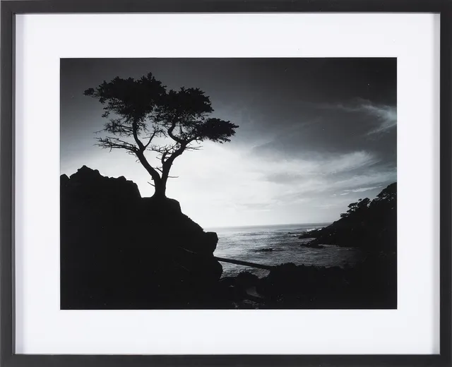 ROLF ADLERCREUTZ (SVERIGE, FÖDD 1945). "Den ensamma cypressen", Cypress Point, Kalifornien 1986, archival pigment print, signerad och numrerad 1/20 á tergo.